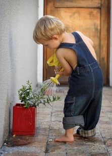 A little boy watering a plant: the Montessori way!